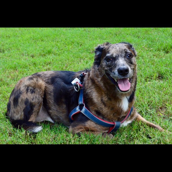 Meet Your Seller - Picture 11 of 15